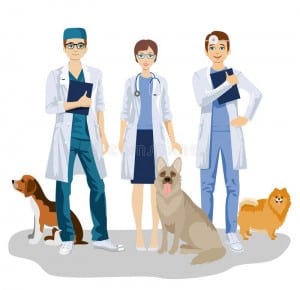 Masters en canarias: cuatro nuevos master en canarias Master clinica veterinaria